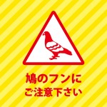 頭上からの鳩のフンの落下を注意する張り紙