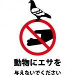 鳩などの動物へのエサやりを注意する張り紙テンプレート