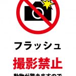 動物へのフラッシュ撮影禁止の注意貼り紙テンプレート