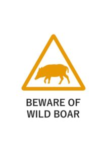 BEWARE OF WILD BOARの注意貼り紙テンプレート